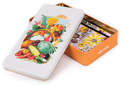Tin box Culina Botanica by Kateřina Winterová