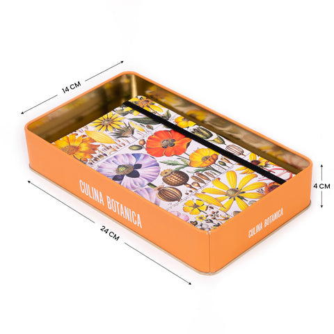 Tin box Herbarium - Kateřina Winterová collection