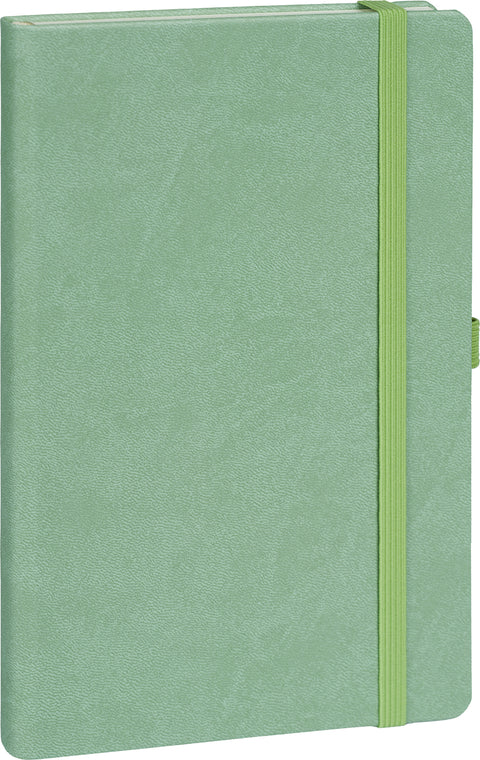 Notebook Green, lined, 13 × 21 cm