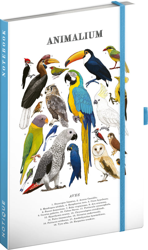 Notebook Animalium – Birds, lined, 13 x 21 cm