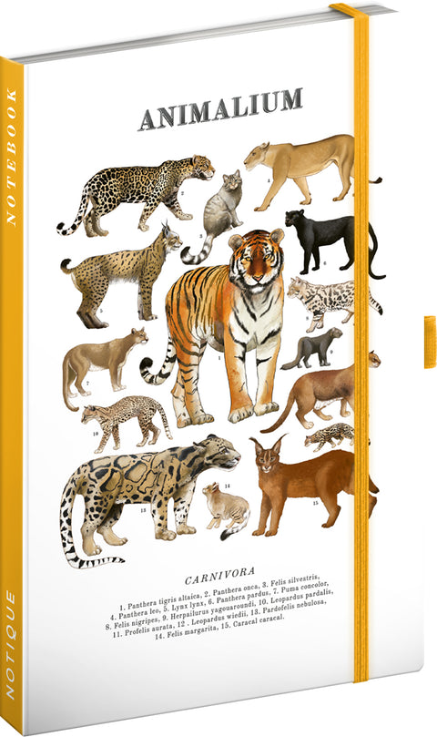 Notebook Animalium – Felines, lined, 13 x 21 cm