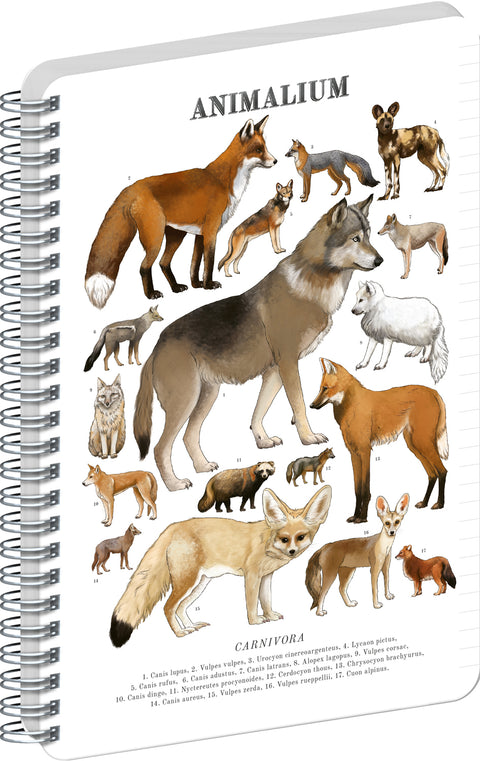 Spiral Notebook Animalium – Canines, lined, A5