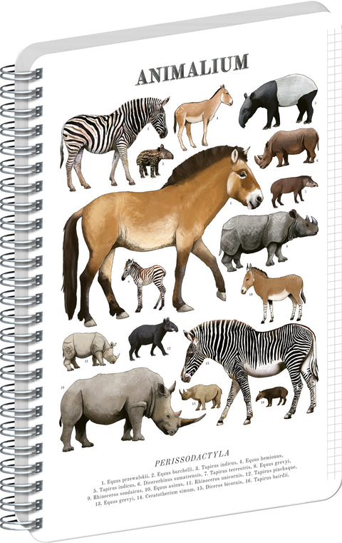 Spiral Notebook Animalium – Perissodactyls, quad-ruled, A5