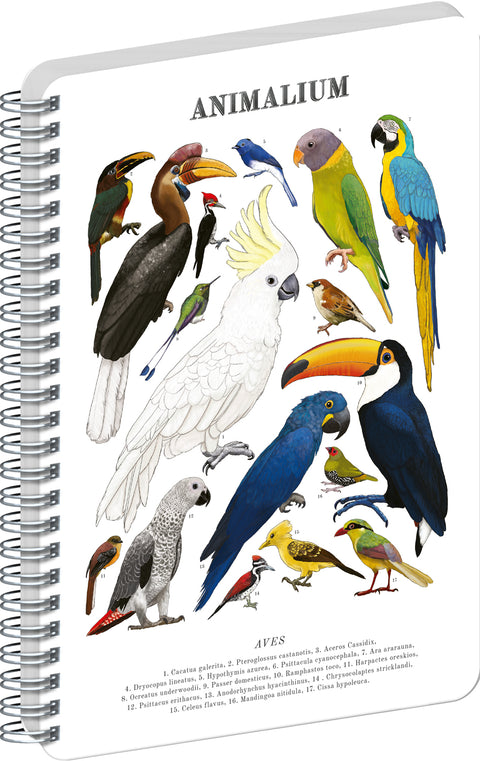 Spiral Notebook Animalium – Birds, blank, A5