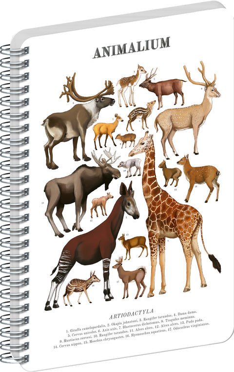 Spiral Notebook Animalium – Artiodactyls, blank, A4