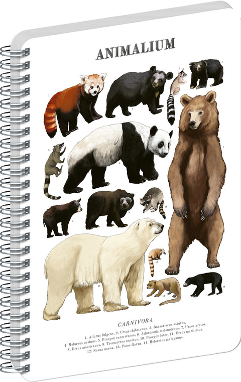 Spiral Notebook Animalium – Bears, blank, A5