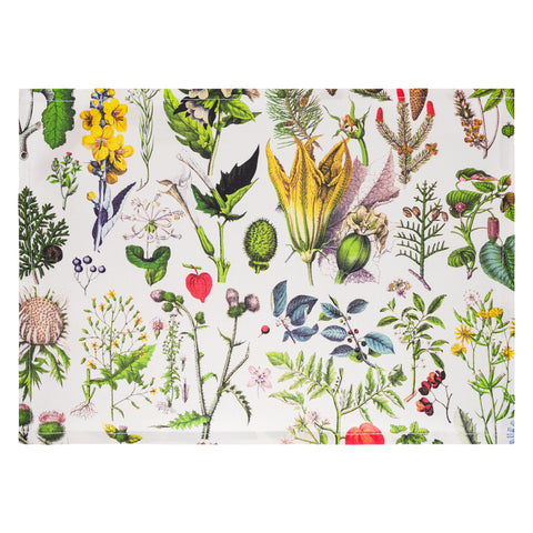 Set of 4 placemats - Kateřina Winterová collection