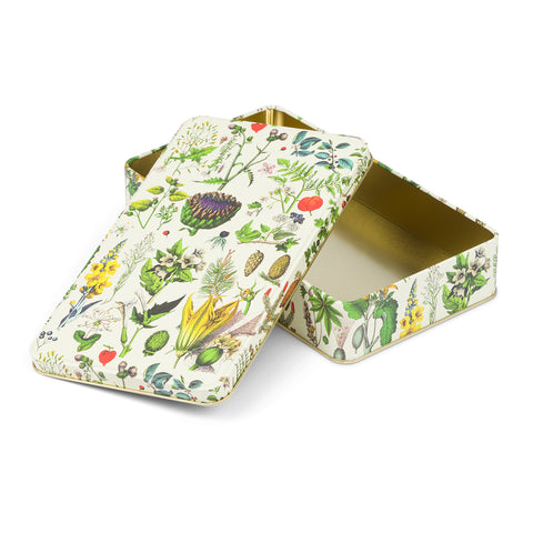 Tin box Herbarium - Kateřina Winterová collection