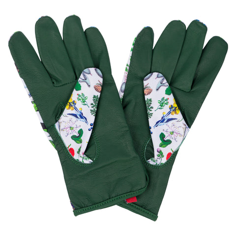 3eaaee243ffcc25559881f8655db5058