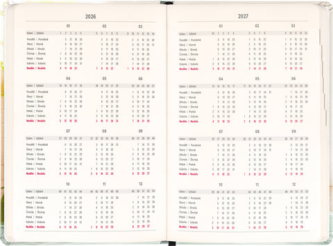 18month Petito planner Capybara 2026/2027, 11 x 16 cm
