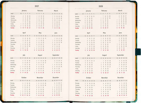 Planbook planner/notebook Cat 2027, 13 x 21 cm