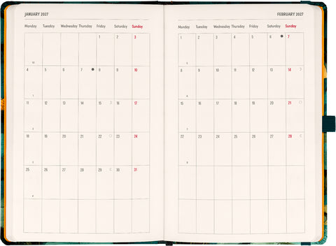 Planbook planner/notebook Cat 2027, 13 x 21 cm
