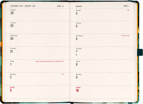 Planbook planner/notebook Cat 2027, 13 x 21 cm