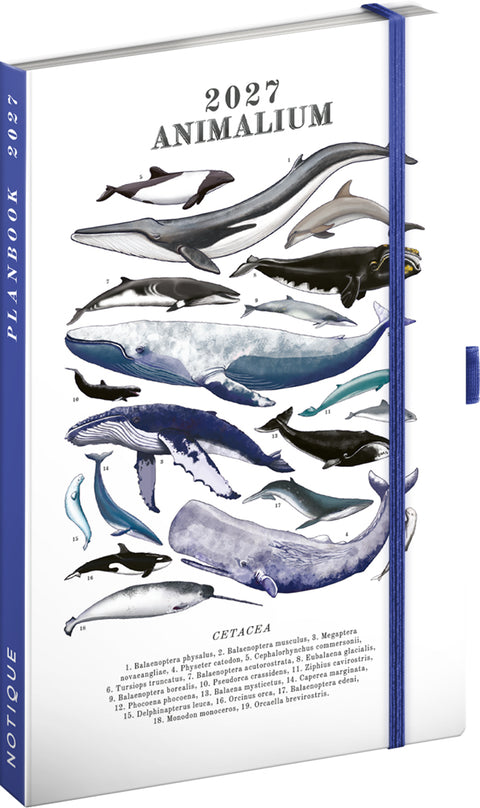 Planbook planner/notebook Marine Life 2027, 13 x 21 cm