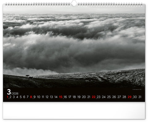 Wall calendar Dreamscapes 2026, 48 x 33 cm