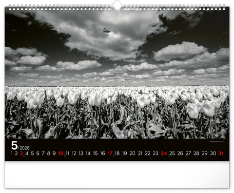 Wall calendar Dreamscapes 2026, 48 x 33 cm