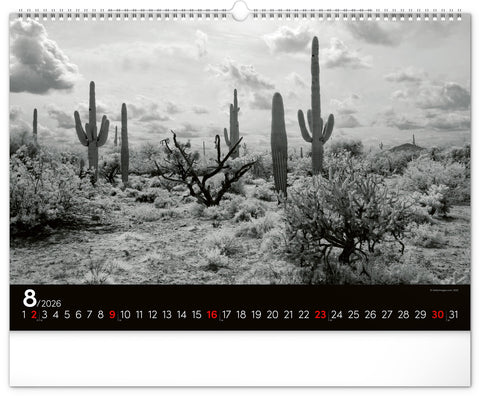 Wall calendar Dreamscapes 2026, 48 x 33 cm