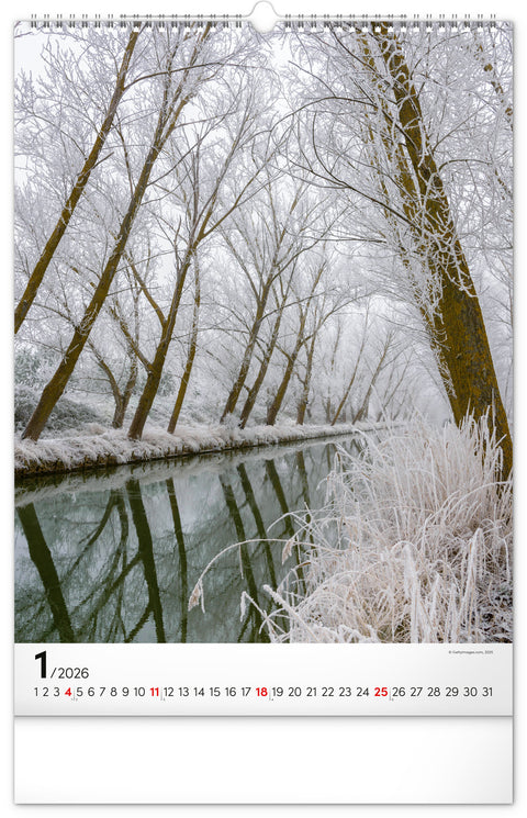 Wall calendar Trees 2026, 33 x 46 cm
