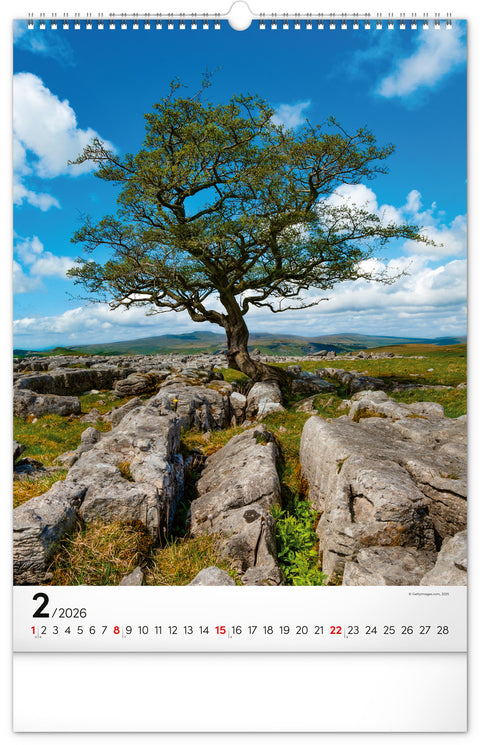 Wall calendar Trees 2026, 33 x 46 cm