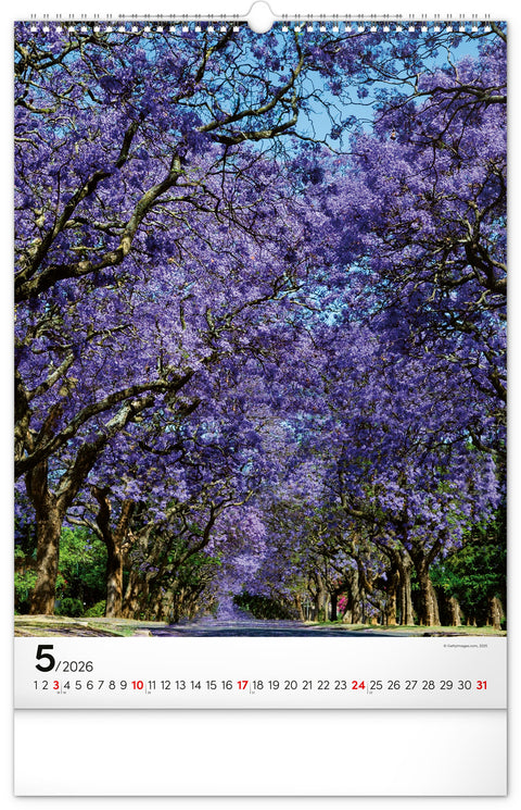 Wall calendar Trees 2026, 33 x 46 cm