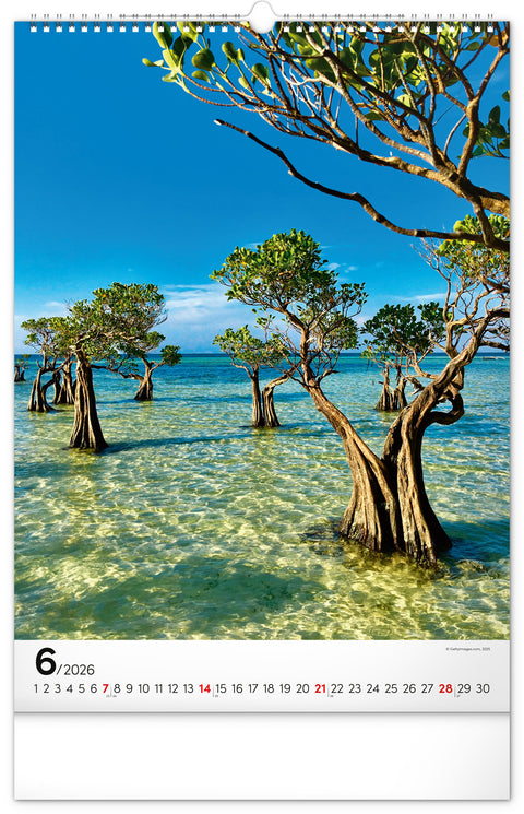 Wall calendar Trees 2026, 33 x 46 cm