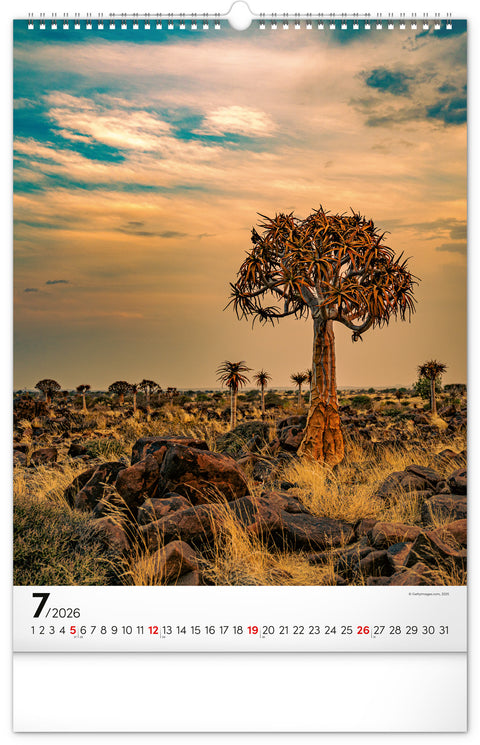 Wall calendar Trees 2026, 33 x 46 cm