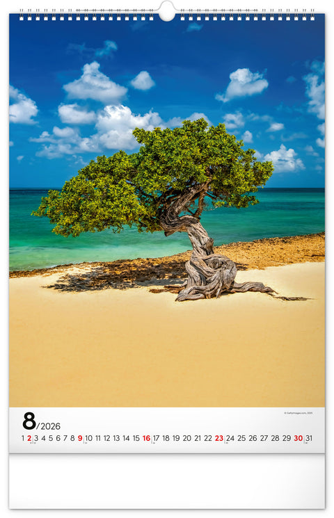 Wall calendar Trees 2026, 33 x 46 cm