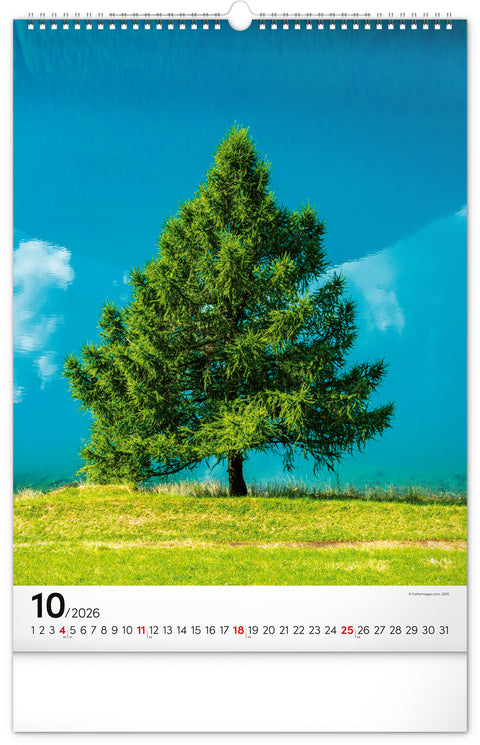 Wall calendar Trees 2026, 33 x 46 cm