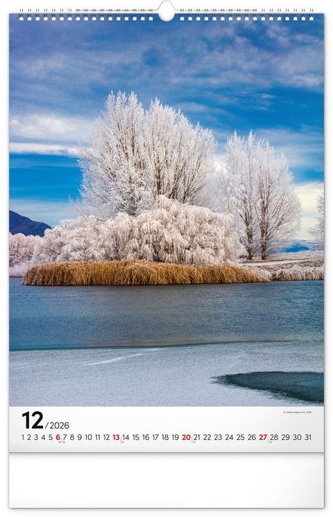 Wall calendar Trees 2026, 33 x 46 cm