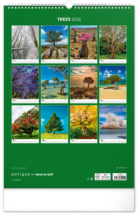 Wall calendar Trees 2026, 33 x 46 cm