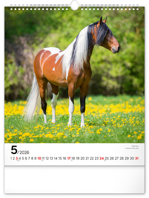 Wall calendar Horses 2026, 30 x 34 cm