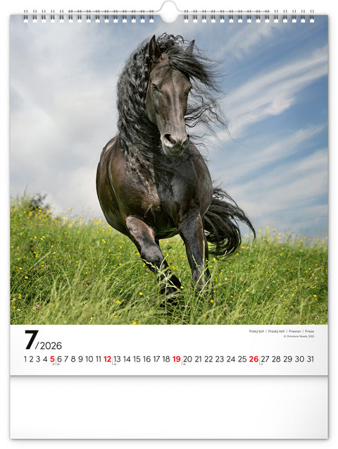 Wall calendar Horses 2026, 30 x 34 cm