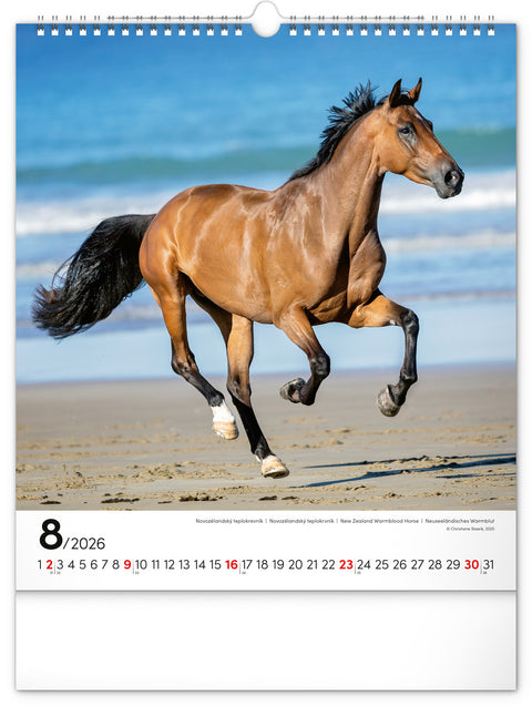 Wall calendar Horses 2026, 30 x 34 cm