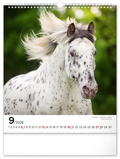 Wall calendar Horses 2026, 30 x 34 cm