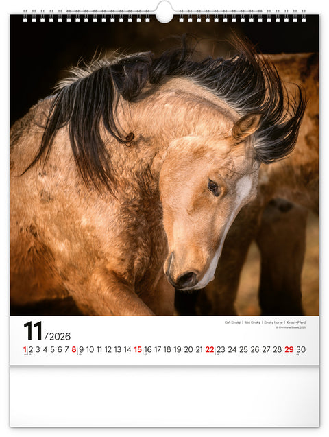 Wall calendar Horses 2026, 30 x 34 cm