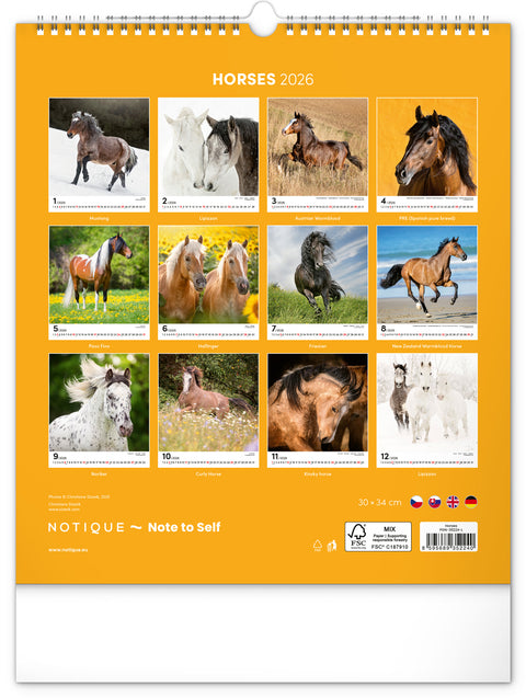 Wall calendar Horses 2026, 30 x 34 cm