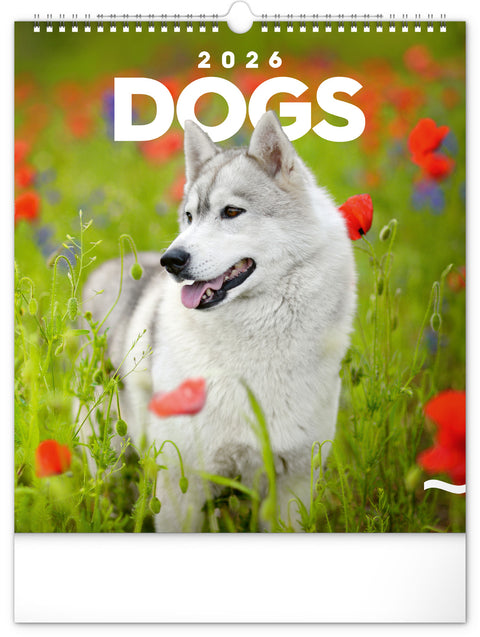 Wall calendar Dogs 2026, 30 x 34 cm