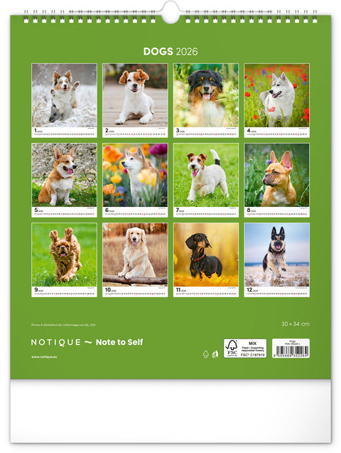 Wall calendar Dogs 2026, 30 x 34 cm