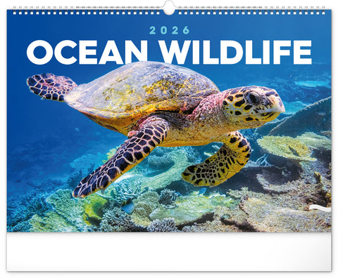 Wall calendar Ocean Wildlife 2026, 48 x 33 cm