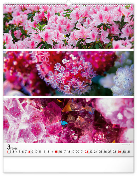 Wall calendar Palette 2026, 48 x 56 cm