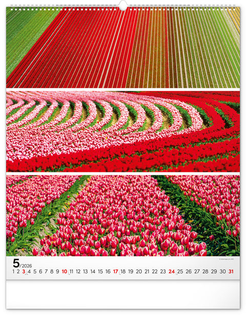 Wall calendar Palette 2026, 48 x 56 cm