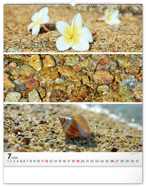 Wall calendar Palette 2026, 48 x 56 cm