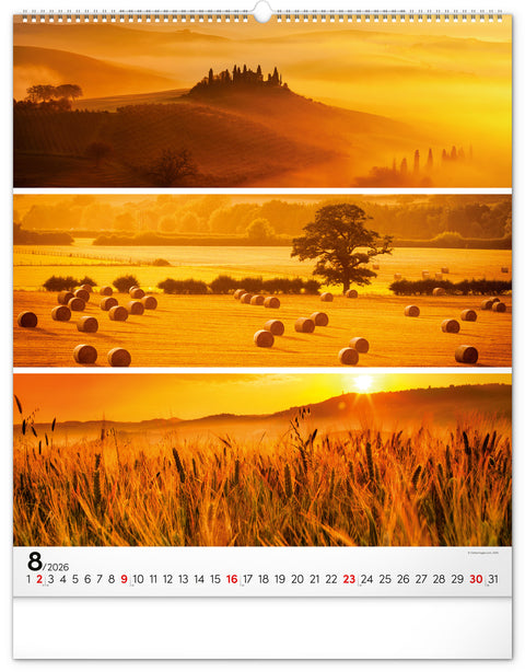 Wall calendar Palette 2026, 48 x 56 cm