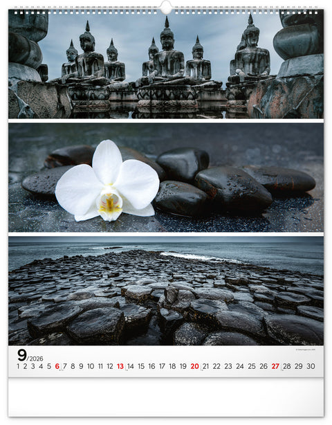 Wall calendar Palette 2026, 48 x 56 cm