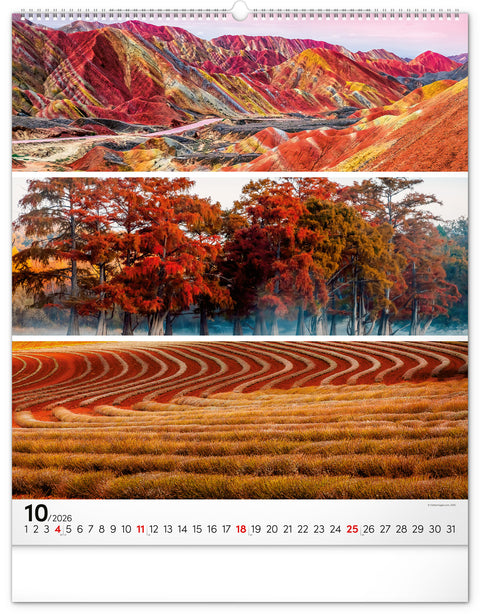 Wall calendar Palette 2026, 48 x 56 cm
