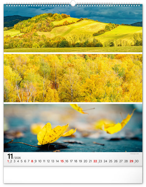 Wall calendar Palette 2026, 48 x 56 cm