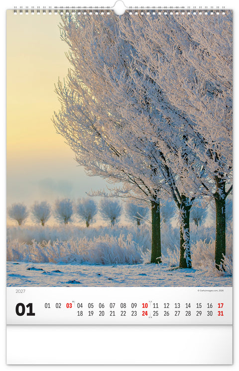 Wall calendar Trees 2027, 33 x 46 cm