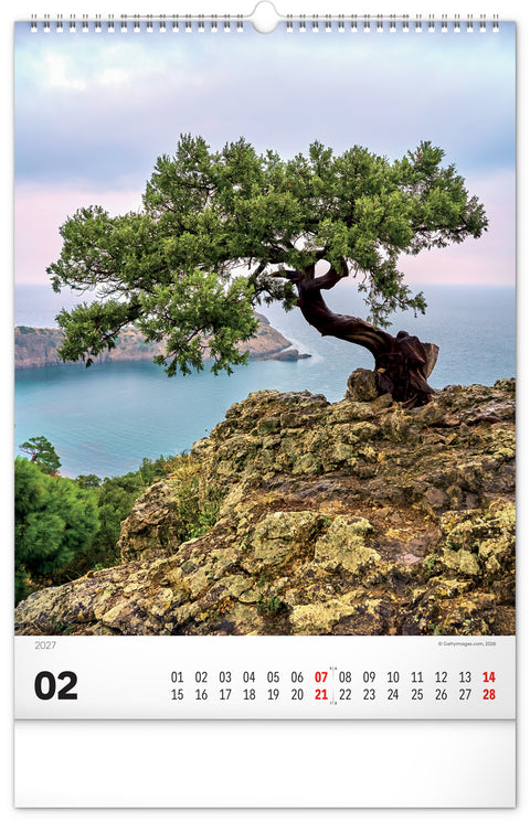 Wall calendar Trees 2027, 33 x 46 cm
