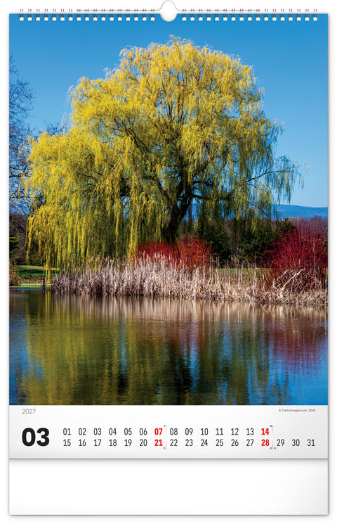 Wall calendar Trees 2027, 33 x 46 cm