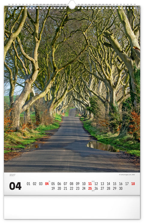 Wall calendar Trees 2027, 33 x 46 cm